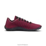chaussure 04226 allez aux baies Hommes - Image 5